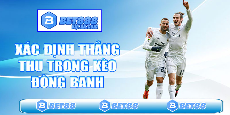 Cách xác định thắng thua trong kèo đồng banh