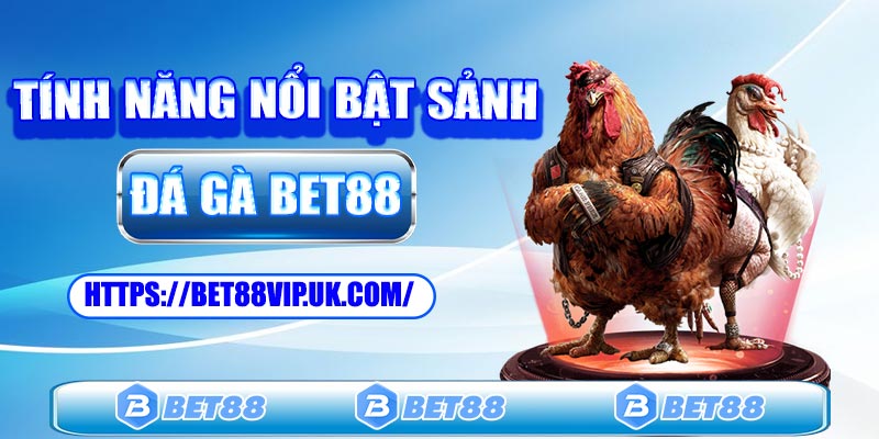 Tính năng nổi bật của sảnh đá gà Bet88