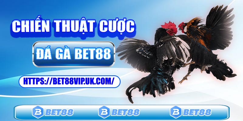 Chiến thuật cá cược sảnh đá gà Bet88 hiệu quả